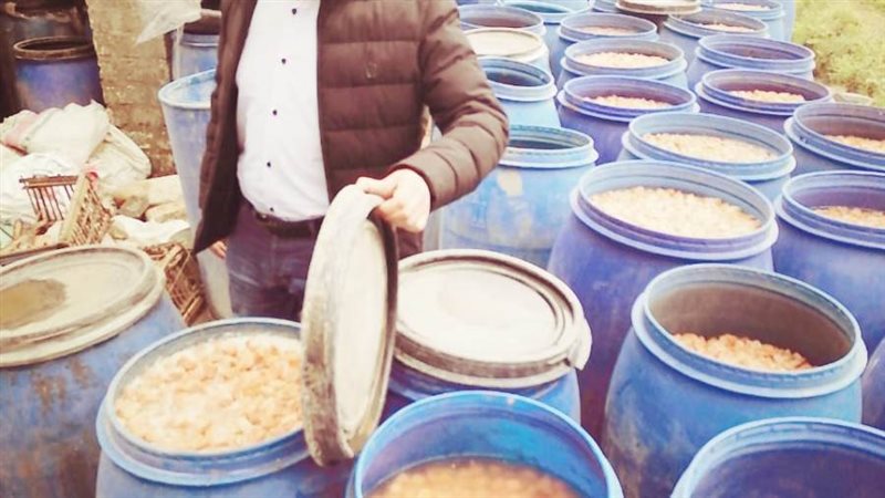 ضبط مخللات غير صالحة