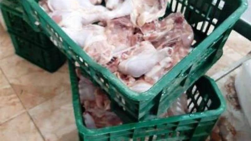 دواجن مخالفة