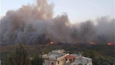 الهند: حرائق الغابات شمالي البلاد تمتد إلى 40 موقعا نشطا الأكثر تضررا