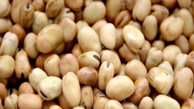 الجريدة الرسمية تنشر قرار وزير التجارة والصناعة بمنع تصدير الفول الحصى والمدشوش