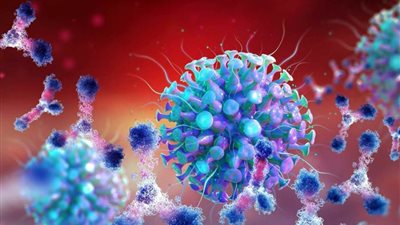 المغرب: تسجيل 365 إصابة جديدة بكورونا و8 وفيات خلال 24 ساعة‎‎‎‎‎‎‎‎