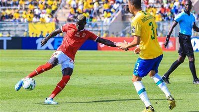  بالأرقام| حظوظ الأهلي أعلى من منافسيه في دور الثمانية 