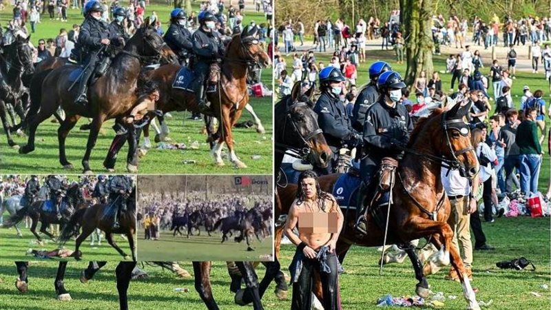 موقعة الجمل البلجيكية