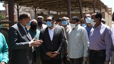 بدء استلام محصول القمح مبكرا في قنا بسبب الظروف الجوية