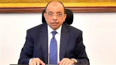 شعراوي: 143 تجمعاً ريفيا منهم 126 بمحافظات الصعيد تم استهدافهم في المرحلة الأولى من