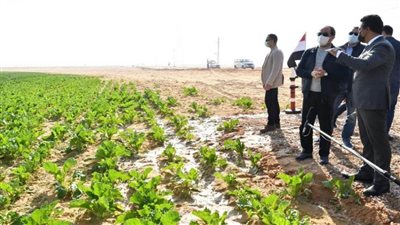 أين يقع مشروع مستقبل مصر؟...اعرف الإجابة في دقيقة