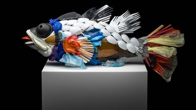 العلماء ينتجون بلاستيكا قابلا للتحلل الحيوي مصنوعا من بقايا الأسماك