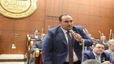 برلماني: مشروع