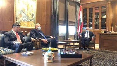 سامح شكري يبحث مع رئيس النواب اللبناني مستجدات الوضع في لبنان