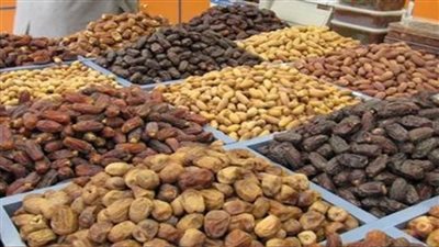 ١٧ توصية للزراعة والمشاركين بمهرجان التمور للنهوض بالمحصول