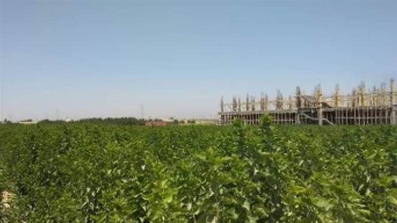 صورة أرشيفة