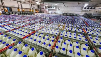 غدا.. وزيرا الإنتاج الحربي والزراعة يزوران المنيا لافتتاح مجمع ألبان وتفقد المزرعة النموذجية 