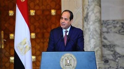 الرئيس السيسي: أكدنا والرئيس التونسي على أهمية مواصلة الجهود العربية لدعم القضية الفلسطينية