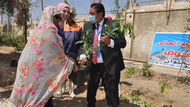 زراعة شجرة بالاشتراك