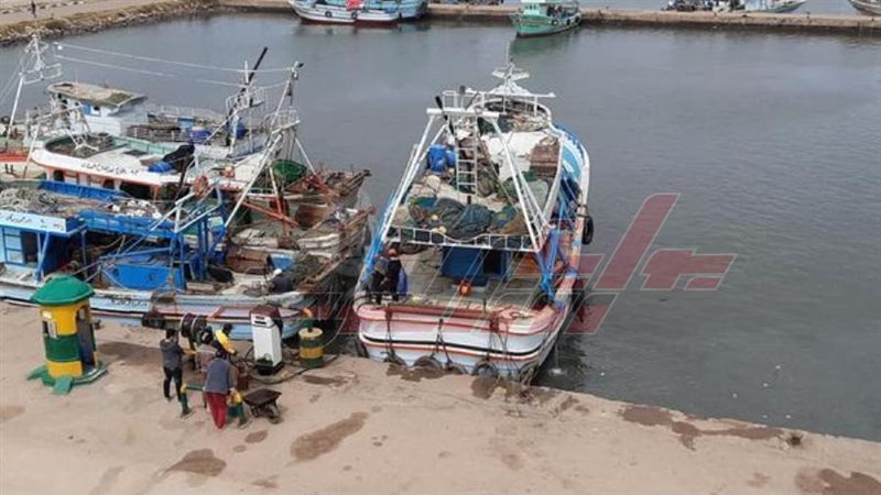 رحلات الصيد