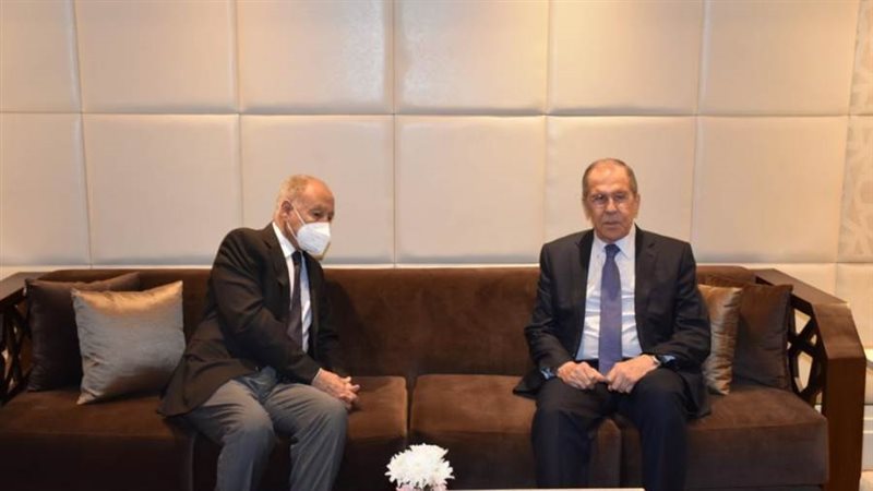 أبوالغيط خلال استقباله