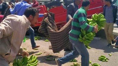 تعطل حركة الطريق الزراعي بسبب انقلاب سيارة محملة بالموز بدمنهور (صور)