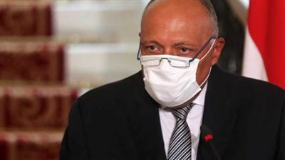 وزير الخارجية يؤكد أهمية تضافر الجهود الدولية لمواجهة تداعيات كورونا وتوفير اللقاحات