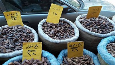 أسعار البلح اليوم| الثلاجة يسجل 6 جنيهات.. والسيوى يستقر عند 20 جنيها