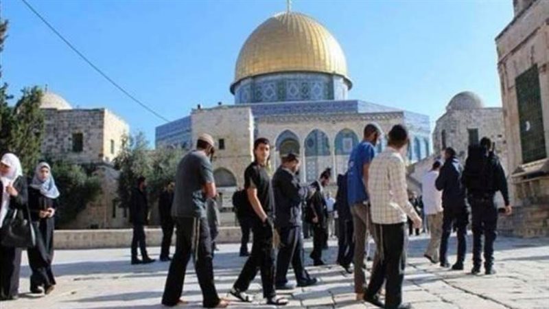 صوره ارشيفيه