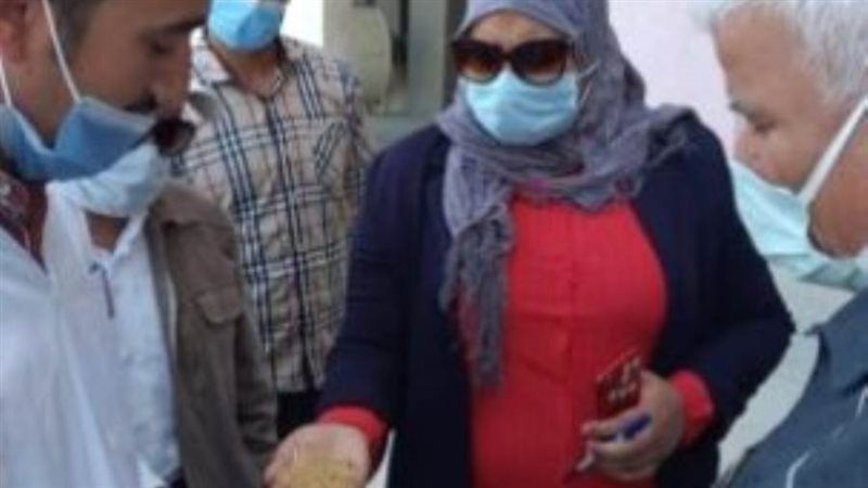 بدء موسم توريد القمح