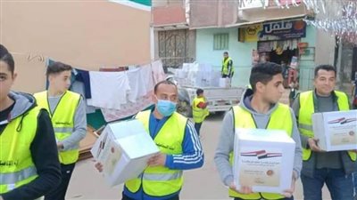 توزيع أكثر من ٥٠ كرتونة سلع غذائية بقرية الإسماعيلية