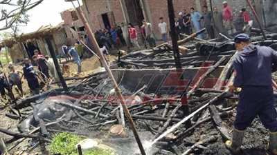 نفوق 4 مواشي في حريق منشأة سلطان ب”المنوفية“..(صور) 