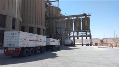 توريد 2775 طن قمح لصوامع سوهاج