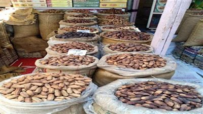 أسعار البلح اليوم| البلح السيوي يسجل 20 جنيها.. والإبريمي يسجل 6 جنيهات