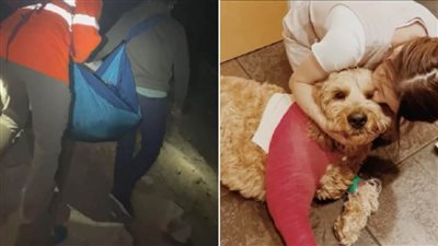 كلب ينقذ صاحبه من الموت في حفرة عمقها 60 متراً