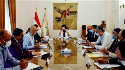 وزيرة الثقافة: مشروعات ثقافية بمبادرة 