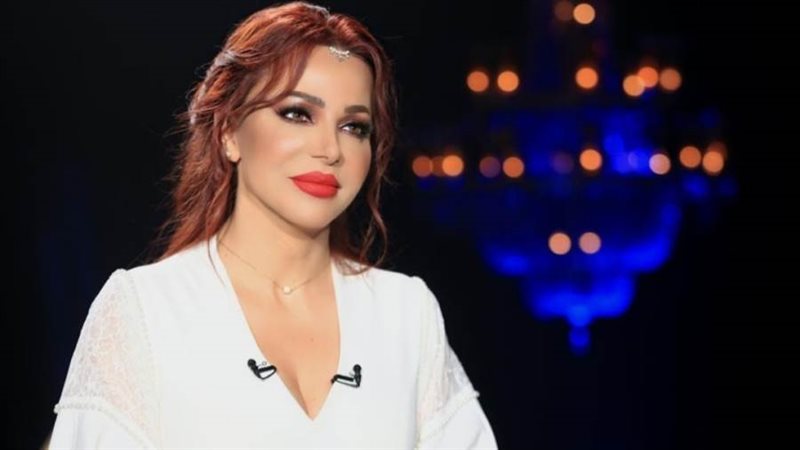 برنامج شيخ الحارة