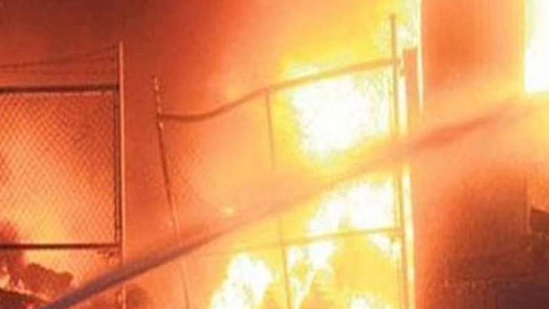 بوابة روز اليوسف