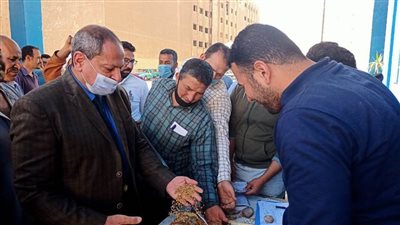 تموين المنيا: توريد 3292 طن قمح لشون الوزارة