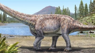 عاجل|العثور على ديناصور أكل النباتات في صحراء أتاكاما