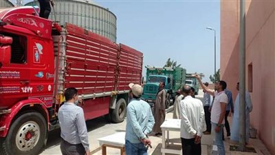 محافظ البحيرة : توريد ٢٤٩٢.٩ طن قمح للشون والصوامع