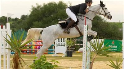 إمساكية كروية.. العاشر من رمضان.. معلومات تهمك عن الفروسية