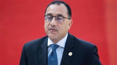 رئيس الوزراء يستعرض جهود المساهمة في إعداد تقرير التنمية البشرية مصر 2020