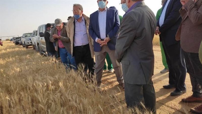 وزير الزراعة خلال