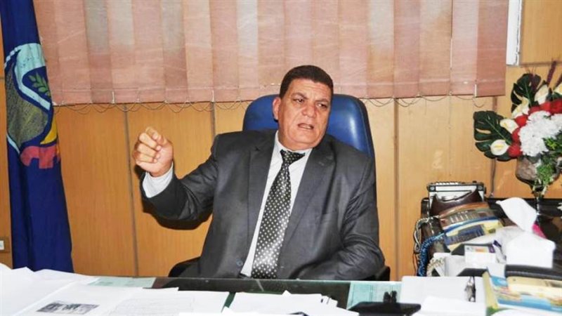 المهندس محمد الزواوى