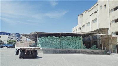 توريد ٦٥٧٥.٦٨٩ طن قمح للصوامع والشون بالبحيرة