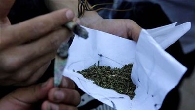 البرلمان المغربي يبحث تشريع زراعة القنب الهندي في البلاد