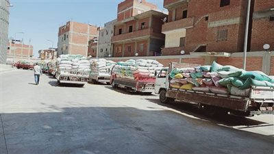 محافظ البحيرة: توريد ١٢٩٤٩.٥٤٤ طن قمح للصوامع والشون