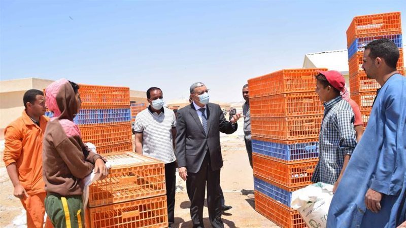 محافظ المنيا في المنطقة