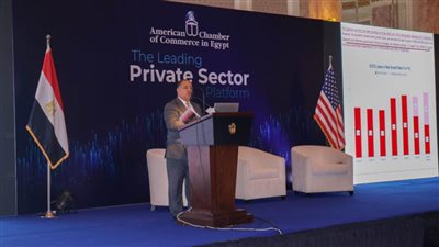 وزير المالية : الحكومة أصرت على استكمال مسيرة الإصلاح الاقتصادى فى ظل «كورونا»