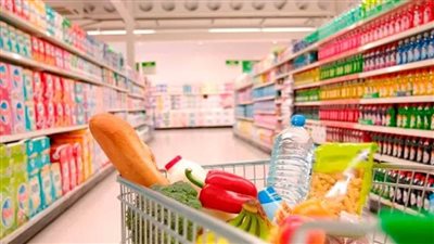 ارتفاع صادرات 