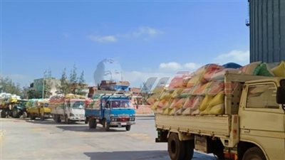 توريد 62133 طنا و 955 كيلو قمح للصوامع والشون بكفرالشيخ