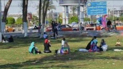 الحدائق والمسطحات الخضراء 