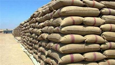 توريد 1460 طن قمح محلي في السويس