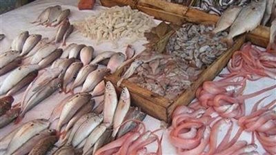 حلقة السمك| اعرف آخر تحديث لأسعار السمك والجمبرى والكابوريا اليوم